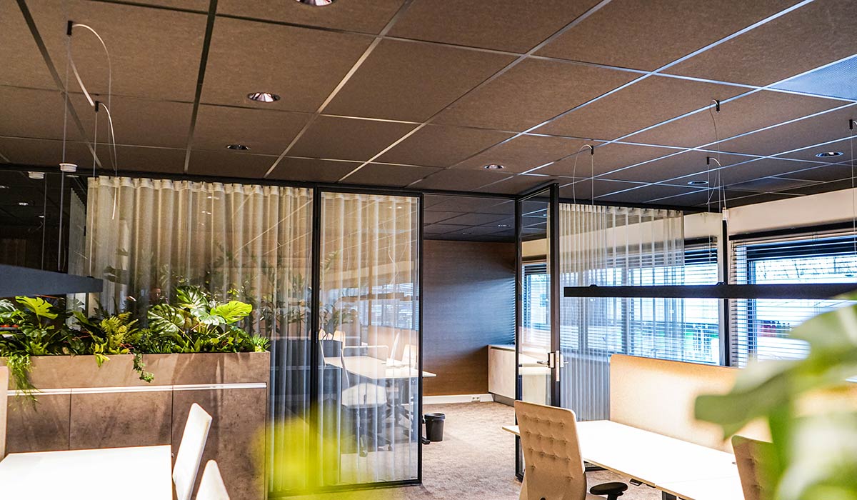 aluwwalls-paul-jong2